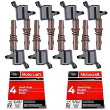 DG521 8 Ignition Coils Brown Boots & SP-509 Plugs Ford 4.6L 5.4L V8