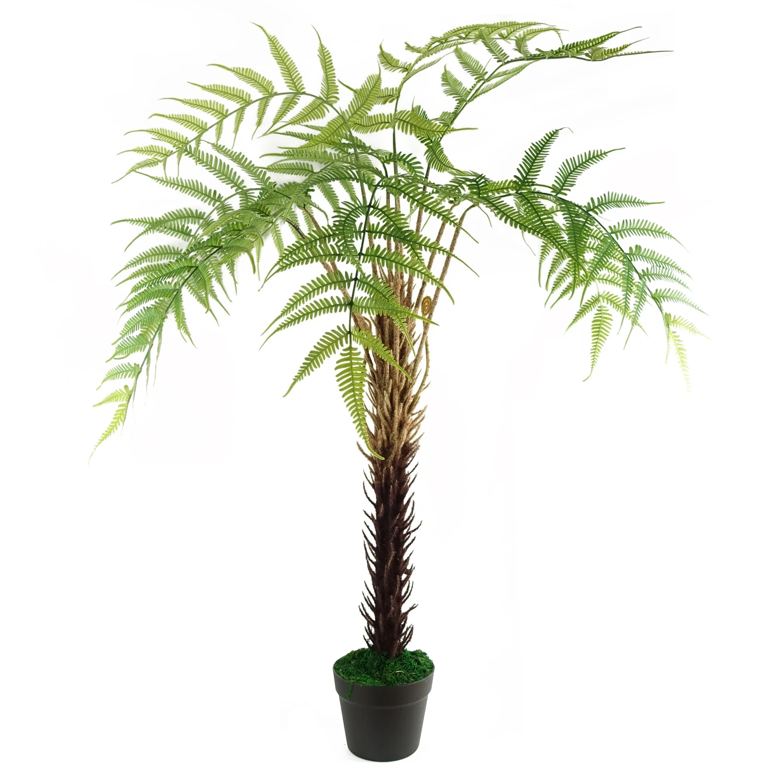 120cm Fern Tree - 40266