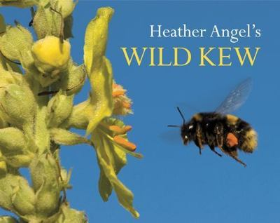 #ad #ad Heather Angel#x27;s Wild Kew 1842464027 paperback Heather Angel new $21.11