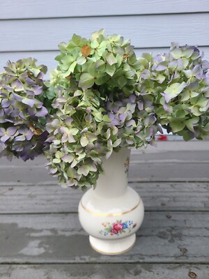 Hydrangea Flowers - 12 Stems - Dried Real - Rustic Décor, Wedding