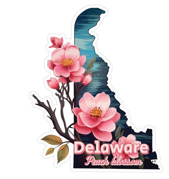 Delaware Sticker Stickers A285 | eBay