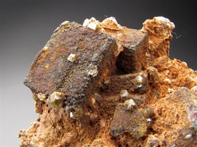 Andradite Garnet on Limonite after Pyrite Sierra de la Cruces Coahuila Mexico