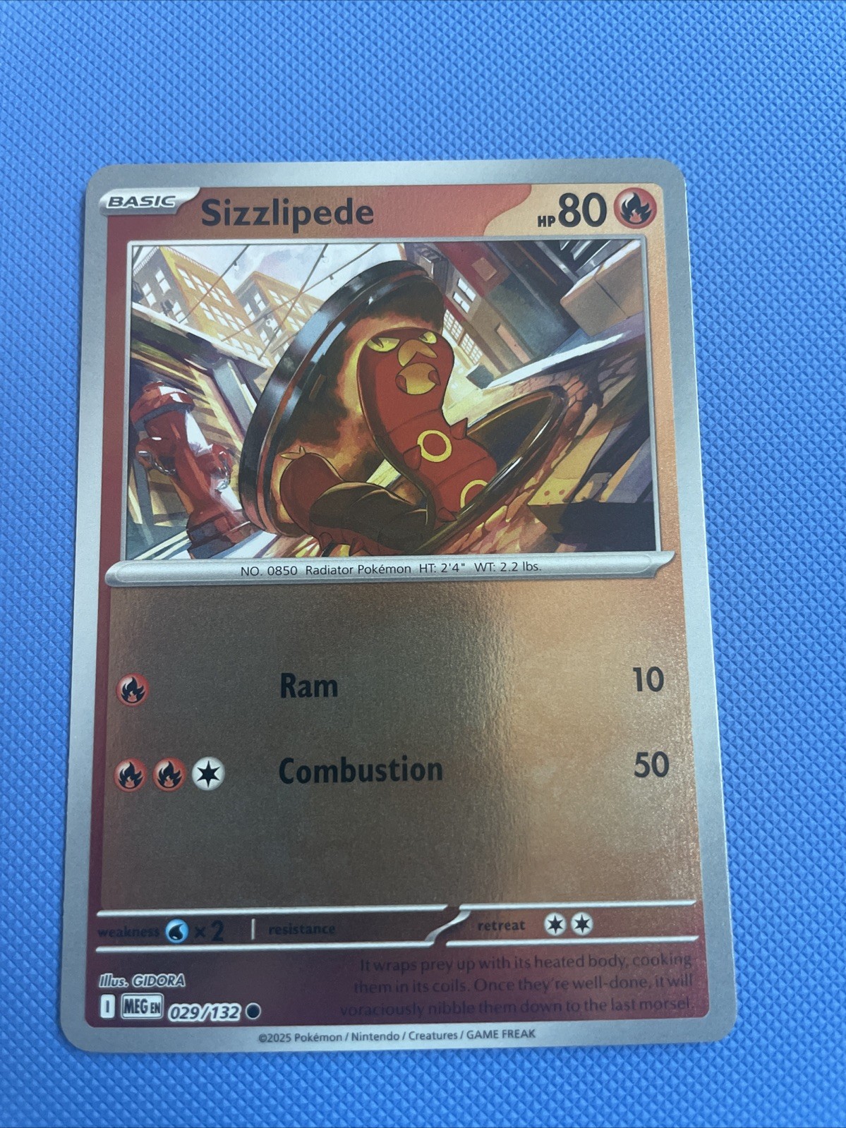 Sizzlipede 029/132 Reverse Holo - Near Mint - Mega Evolution