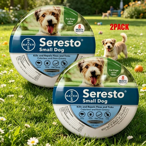 2PACK Adjustable Dogs Collar for Small Dogs Soft Durable Comfortable Pet Collar