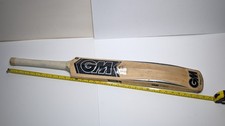 GM DXM Chrome Cricket Bat Academy