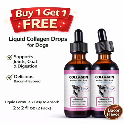 2 pack Liquid Collagen for Dogs - Hip and Joint Support with MSM, Ginger Boost I