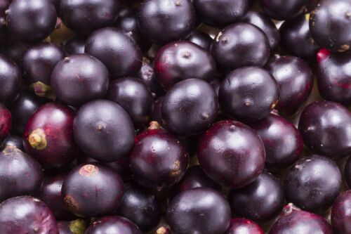 immune support vitamin c - ACAI BERRY 1200 immune system herbs fat 2BOTTLE - Picture 3 of 12