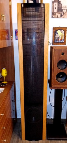 Martin Logan SEQUEL II (2) Casse Acustiche Diffusori Elettrostatici OTTIMO STATO - Foto 8 di 16