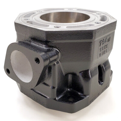 Arctic Cat * CYLINDER 3004-525 * 95-01 ZRT 800