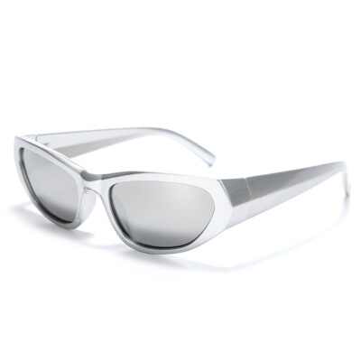 Retro Steampunk Sunglasses Designer Y2k Silver Mens Women  display picture 1
