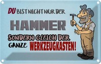 Blechschild 20X30 Cm Du Bist Nicht Nur Der Hammer Dekoration Spruch Zitat Deko G