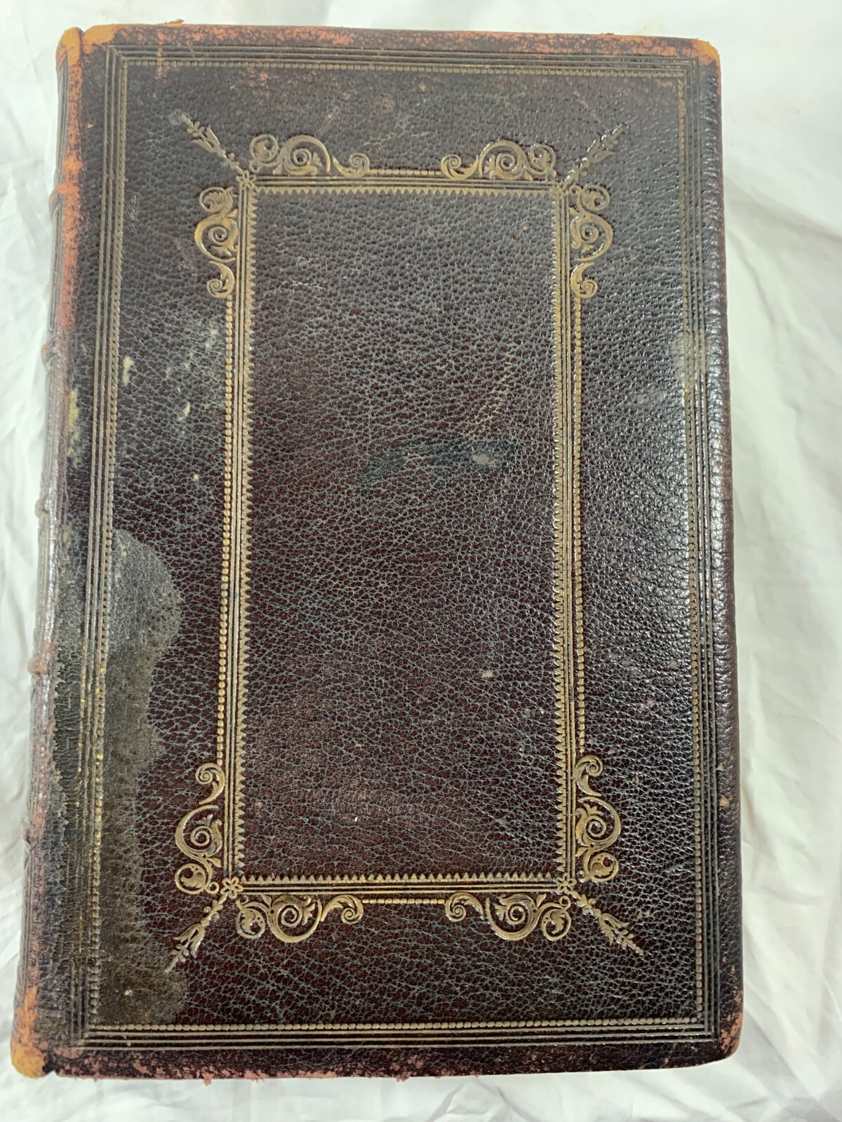 Picture 3 of 20