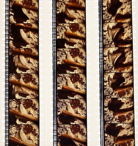 Jurassic Park 1993 Very Rare Unmounted 35mm Film Cells - Steven Spielberg - Picture 22 of 142