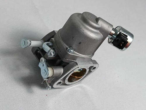 Carburador cortacésped para motor Briggs & Stratton 20 HP nuevo caja abierta plateado - Imagen 3 de 9