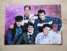Spandau ballet autographs signed 20x30 cm picture