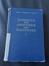 Lehrbuch der Anatomie der Haustiere Band 1 Bewegungsapparat Nickel Atlas Buch