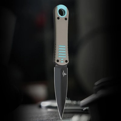 Kizer Cutlery Hidden Agenda Fixed Dagger 3.5'' Black AEB-L Steel Blade G10 Handle