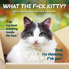 Carousel Calendars,  What the Fck Kitty 2026 Wall Calendar, 12'' X 12'', 16-Mont