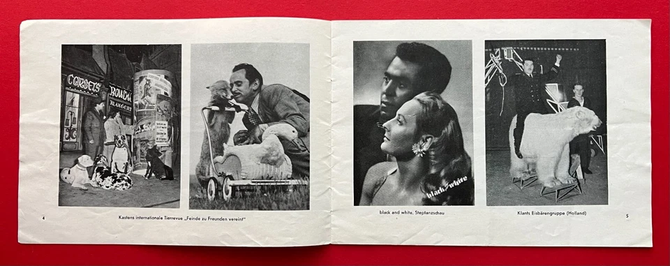 2 x alte Programm Heft 1959/60 und 1973 Zirkus BARLAY und AEROS     ( F23577 - Bild 3 von 4