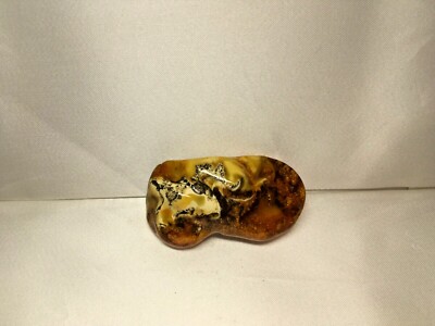 Natural Baltic Polished AMBER Stone Egg YOLK , BUTTERSCOTCH, mutton Fat