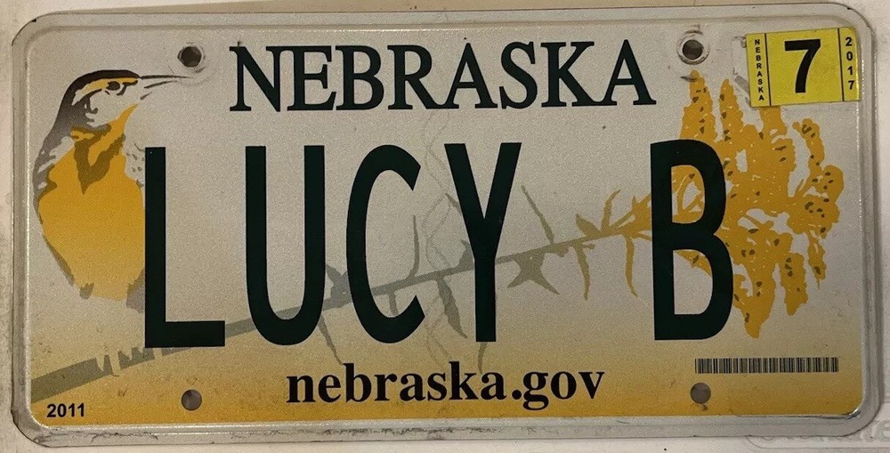 Custom Vanity License Plate LUCY LUCIE LUCI B Lucia Luciana Luella Lucetta Lucinda Luce