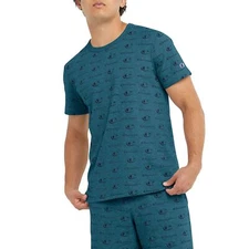 Champion Crew Logo Print, Crewneck Tee Shirts for Men, Big C Little Script Nifty