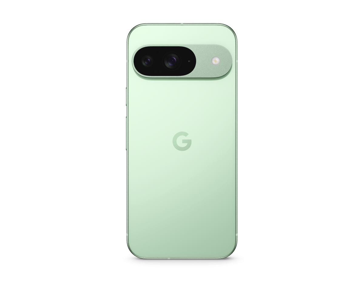 Google Pixel 9 新品 未開封 wintergreen Google Pixel 9 256GB (Unlocked) Wintergreen GA05844-US