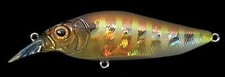 Fishing Lure Limited to actual itemMegabass Lure Flapslap GG Gil Yu-Packet