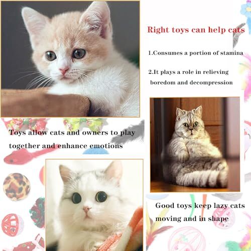 Cat Advent Calendar 2023, 24pcs Kitten Toys A Holiday with Cat - Main Image