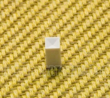 004-8451-000 Genuine Fender Tube Amp Parchment Push Switch Knob Button 