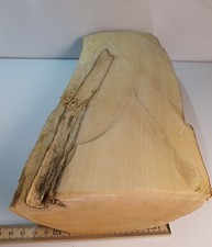 1 Halb Stamm Drechselholz Buchsbaum Buxus Buchsbaumholz Edelholz 1920g Rissfrei