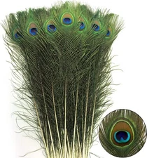 24Pcs Peacock Feathers Long Natural in Bulk 32-35 Inch 80-90 Cm