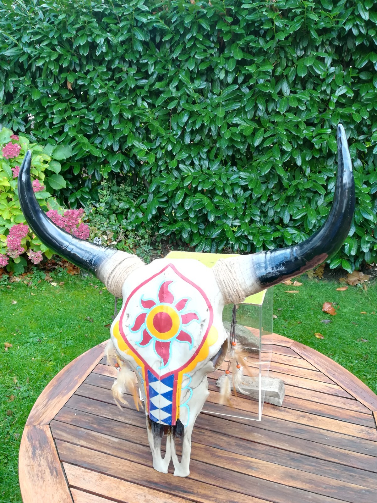 Bild 4 von 5