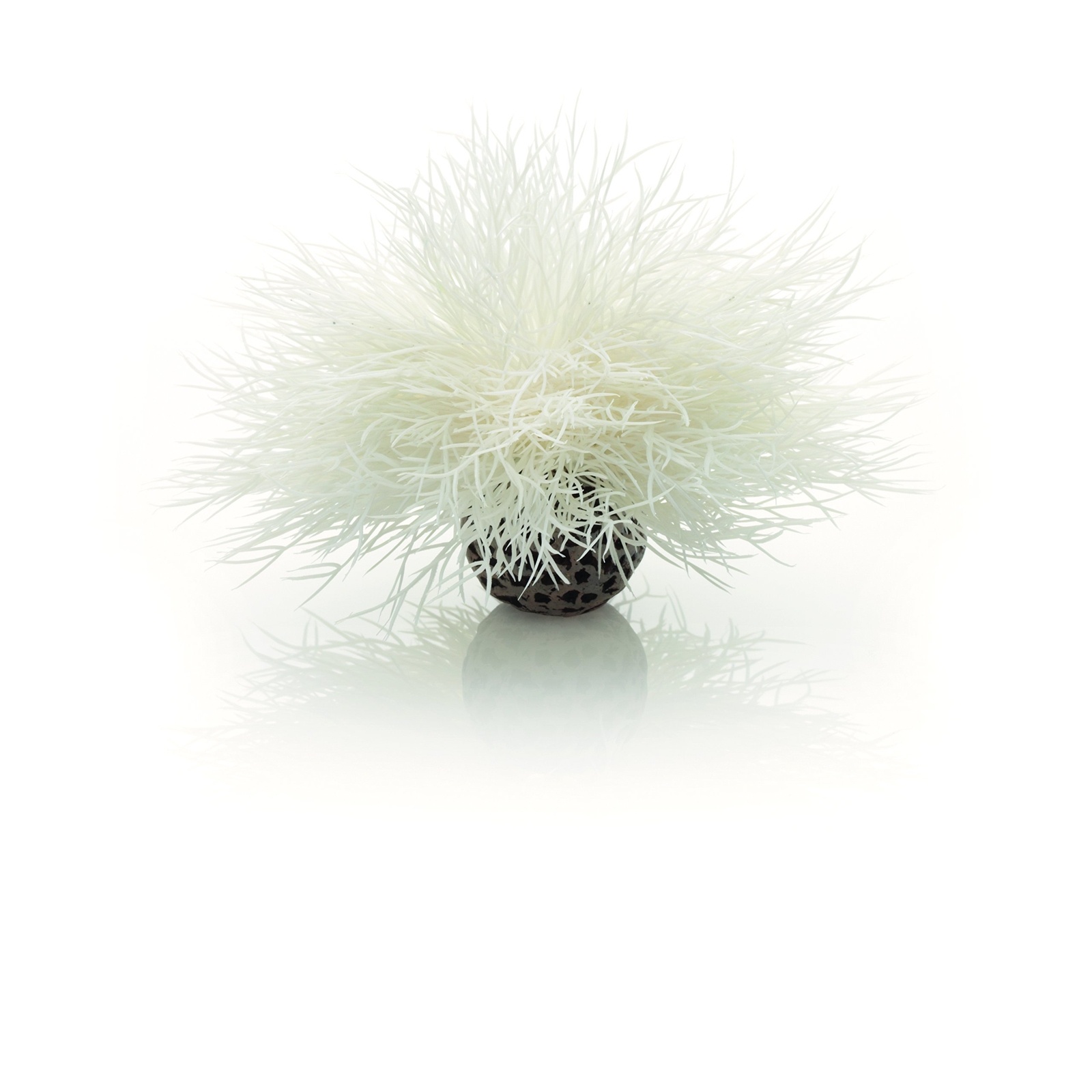 biOrb Sea Lily White