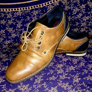 BROWN MENS DRESS SHOES DEXTER COMFORT 