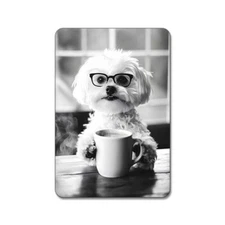 Maltese Dog Drinking Coffee - Cute Funny Kitchen Animals - Magnet