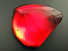 Seltener Echter Roter Bernstein Red Amber￼ Bermudas Karibik￼￼