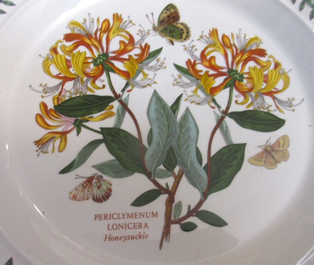 Portmeirion Botanic Garden Dinner Plate with Discontinued Color