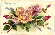 Vintage Postcard- Pink roses Early 1900s