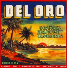 Orlando Florida Del Oro Brand  Orange Citrus Fruit Crate Label Art Print