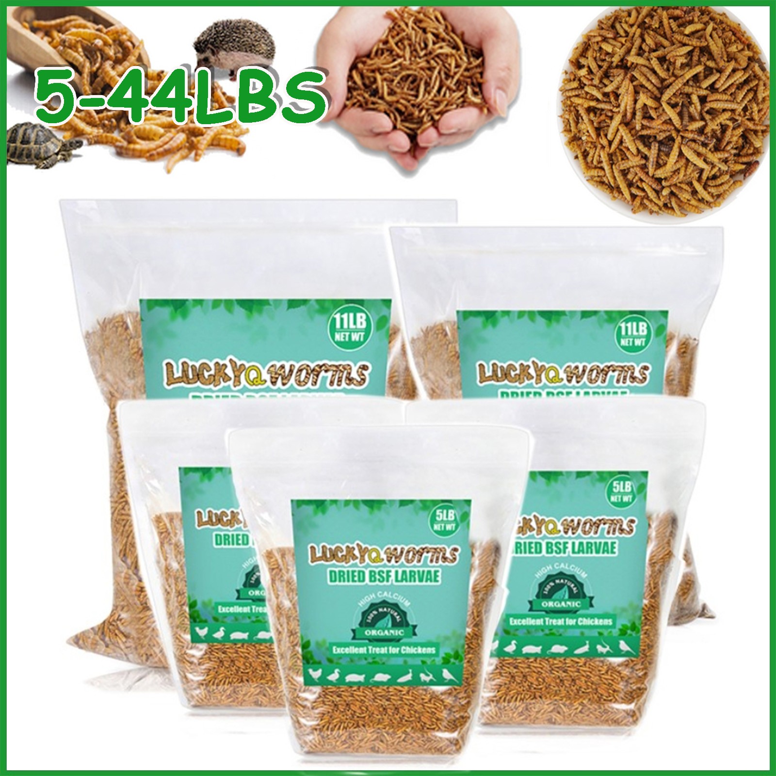 Bulk Dried Black Soldier Fly Larvae for Birds Ducks Chickens