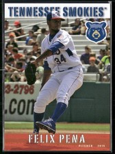 Felix Pena 2015 Tennessee Smokies Team Set Card
