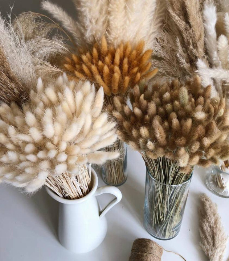 Засушенный заячий хвостик, белый с цветочным декором