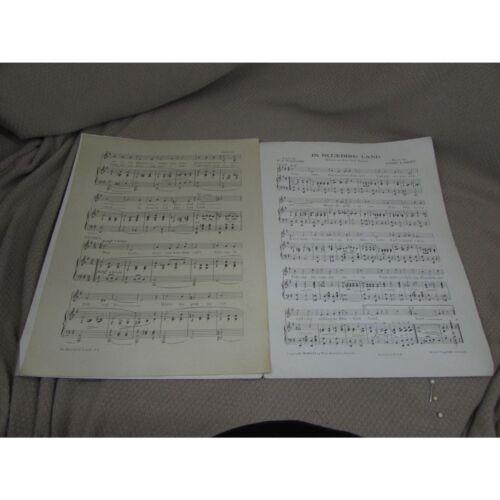 "In Bluebird Land" spartiti canzone Albert E corto 1921 - Foto 8 di 8
