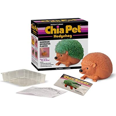 Chia CP438-01 Pet Hedgehog Seed Pack, Decorative Pottery