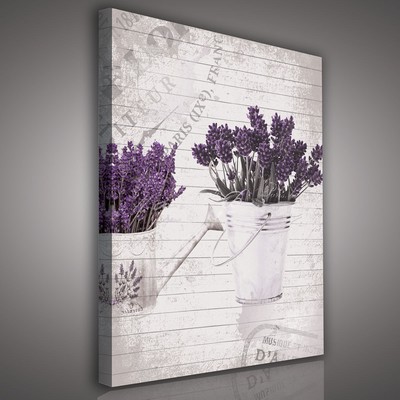 SET 5 teilig POSTER FOTO BILD LEINWAND VIOLETT PFLANZEN LAVENDEL 3FX1809S14