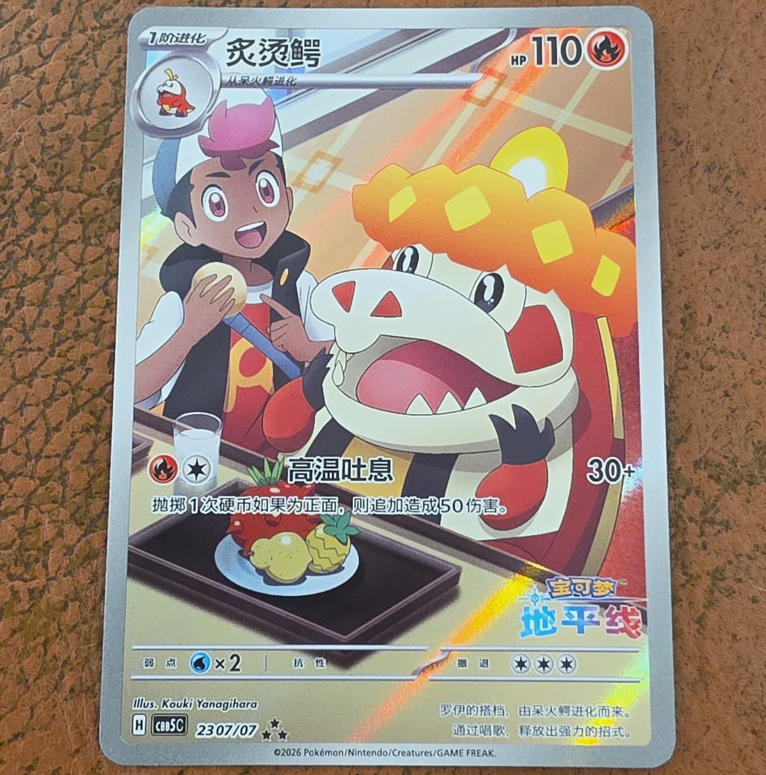 Crocalor Full Art 230/07  Chinese Pokemon TCG Card Gem Pack 5