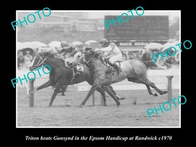 OLD HISTORIC HORSE RACING PHOTO OF TRITON BEATING GUNSYND AT RANDWICK c1970