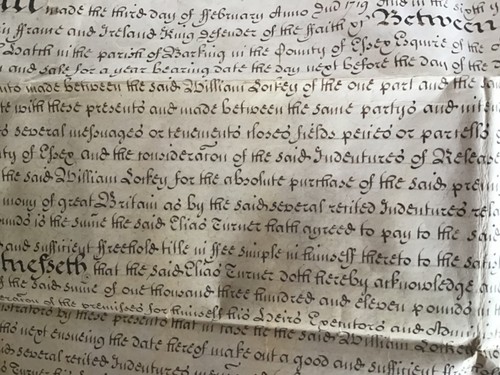 1719 Parchment Indenture Document Turner & Lockey - Picture 6 of 20