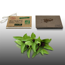 100 graines Bio à semer - LGA Graines - BASILIC Cannelle - Certifié AB